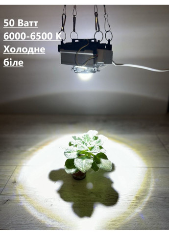 Фитолампа 50 Вт для роста растений с линзой 60 градусов, 6000К-6500К. Холодный белый. No Brand (368704488)