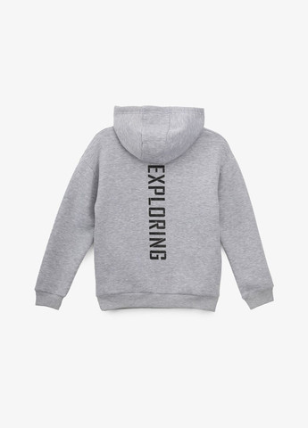 Худі з принтом для хлопчика 325474 134 см shop (2000990809629) ALG (321961861)