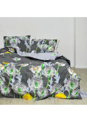 Постільна білизна полуторна Ранфорс 9847-1-5 210х143 см Viluta (336328546)