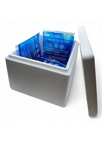 Термоконтейнер 4 л з акумуляторами холоду 4 шт по 250 мл - комплект для перевезення заморожених продуктів, ліків, їжі More (365302539)