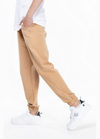 Спортивні штани чоловічі 23203001 Breezy (315968045)