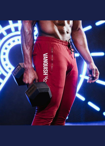 Красные повседневный демисезонные брюки VQH