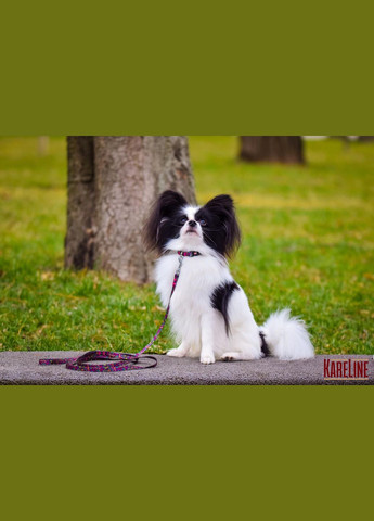 Повідець з нейлону з візерунком "KALEIDOSCOPE" 10 мм 1200 мм Kareline (339074800)