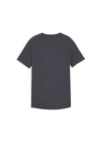 Серая демисезонная детская футболка individualblaze football jersey youth Puma