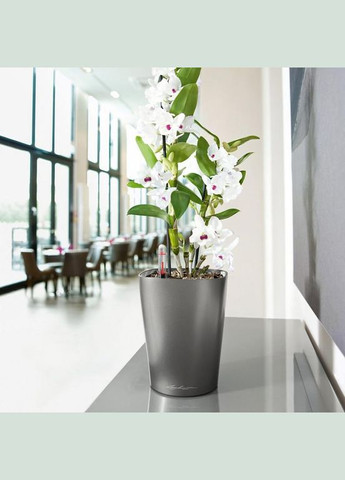 Вазон Deltini, антрацит (A-013643) Lechuza (317268861)