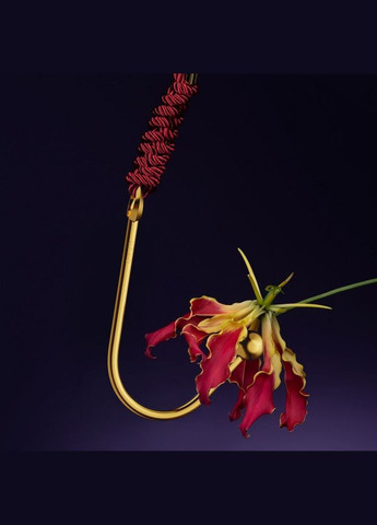 Вагинальный / анальный крюк UPKO Hook золотистый, с шариком на конце и кольцом для фиксации No Brand (303886267)