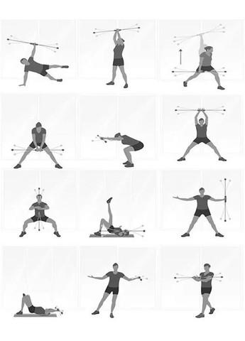 Вибротренажер палка гимнастическая для фитнеса WCG (342758316)