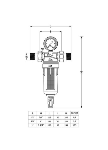 Фільтр промисловий IT100-H8910 для холодної води 1", з ключем, прозорий ITAL (373638671)