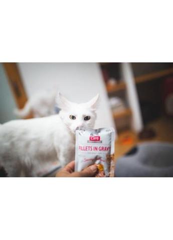 Влажный корм Cat Pouch для кошек, филе в соусе, пикантный лосось, 85 г (*) Brit Care (322592516)