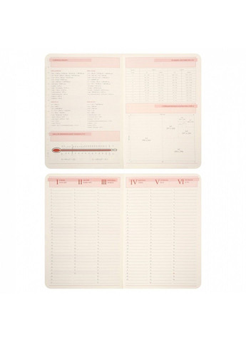 Ежедневник датированный 2026год А5 мягкий 368 страниц Polo .графитовый 252694 Leo Planner (364302779)