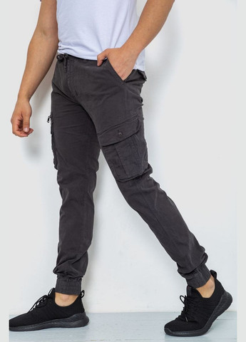 Темно-серые демисезонные брюки Ager