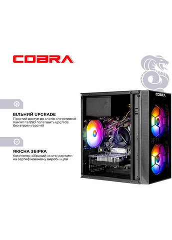 Комп'ютер Advanced (I121F.32.H1S4.96XT.25163W) Cobra (357210164)