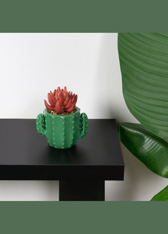 Штучна рослина в горщику MY HOME 12 см Рожевий/зелений (DH-FLOWERS-15 PINK/GREEN) MVM (301003200)