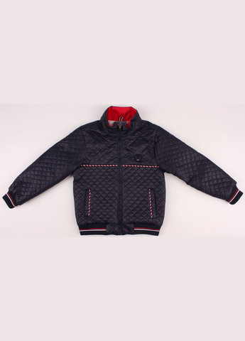 Синя демісезонна куртка 3632 темно синій Verscon