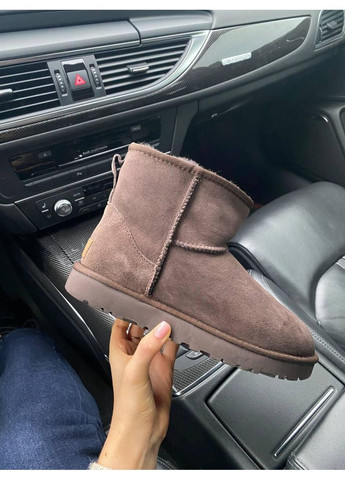 Уггі UGG Classic Mini II (Замша) No Brand (364860348)