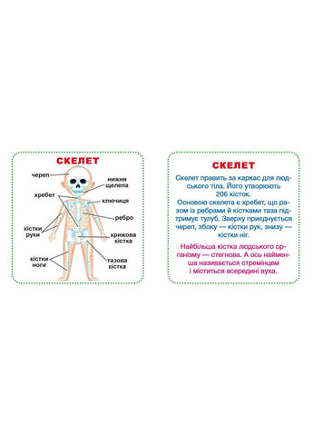 Умные карты. Мое тело. 30 карт Кристал Бук (349838562)