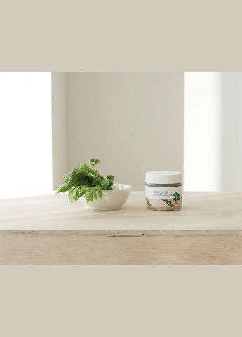 Round Lab Успокаивающий крем с морской полынью Mugwort Calming Cream, 80 мл — Крем, (331289056)