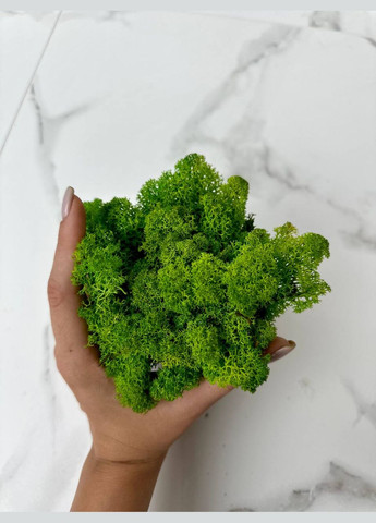 Стабилизированный Норвежский Мох (Ягель) 500 г – Grass Green Light No Brand (302520173)