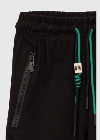 Комбинированные спортивные демисезонные брюки Неслухнянки