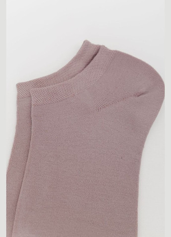 Пудровые носки женские короткие, цвет пудровый, Ласточка (313292558)