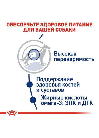 Сухой корм Maxi Adult для собак крупных пород 4 кг (3182550402224) Royal Canin (364788886)