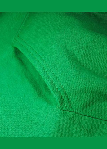 Худи мужской Classic hooded sweat Ярко-зеленый (062208047S) Fruit of the Loom (315938114)