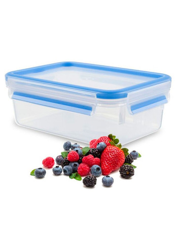 Контейнер харчовий MasterSeal K3021112 550 мл Tefal (364765832)