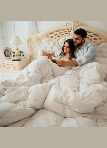 Ковдра Raffaello 051 демі 200x220 см 8061798 Mirson (316614118)