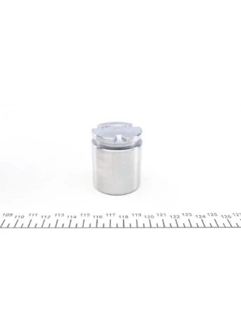 Поршень тормозного суппорта P445202 No Brand (340416930)