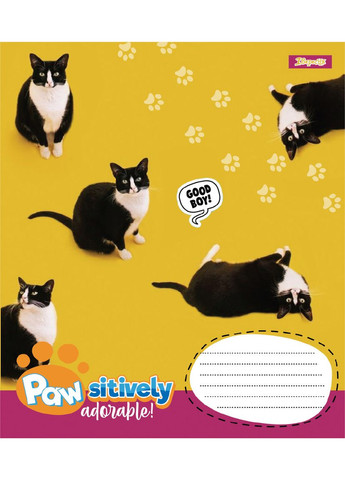 Набор тетрадей школьных 1Bересня А5/12 косая линия Pawsitively 25 шт (768237) 1 Вересня (352167298)