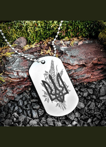 Жетон ЗСУ з нержавіючої сталі з ланцюжком. 46 ДШБ - 46-та окрема аеромобільна бригада No Brand (300369514)