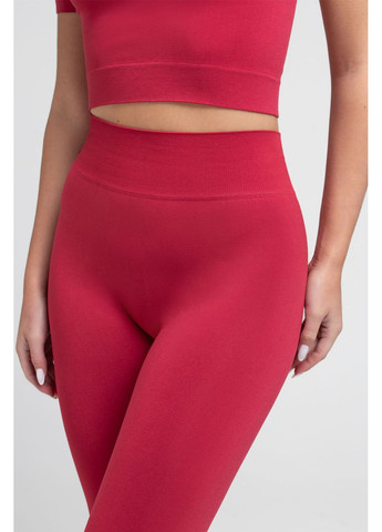 Жіночі безшовні легінси Giulia LEGGINGS (370626925)