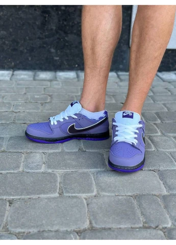 Фиолетовые демисезонные кроссовки мужские nike sb dunk low concepts purple lobster найк сб данк фиолетовые No Brand