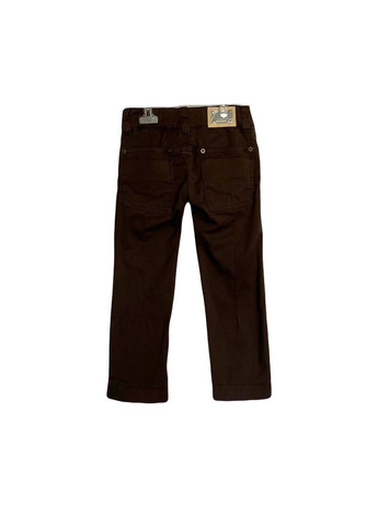 Темно-коричневые повседневный демисезонные брюки Nolita