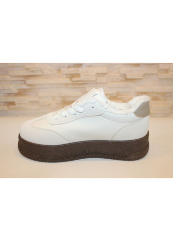 Кросівки жіночі бежеві на шнурівці No Brand Кросівки жіночі зимові бежеві зими (367020333)