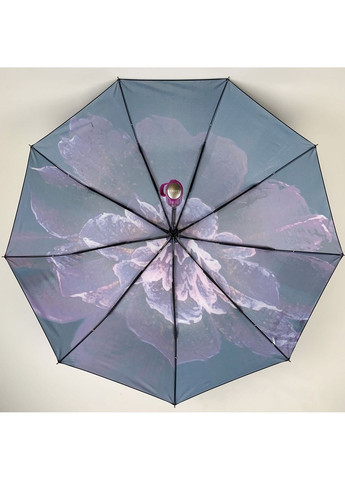 Жіноча парасолька-автомат Flagman (282593571)