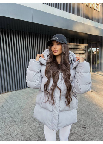 Сірий демісезонний Пуховик Style Point