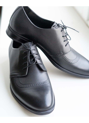 Туфлі дербі Ikos (315349157)