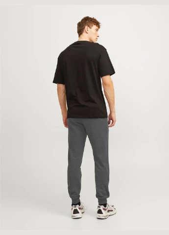 Штани демісезон,темно-сірий,JACK&JONES Jack & Jones (301018186)