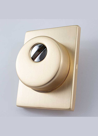 Броненакладка 25mm с декоративной накладкой 60X80 мм SG мат золото Protect (322520635)