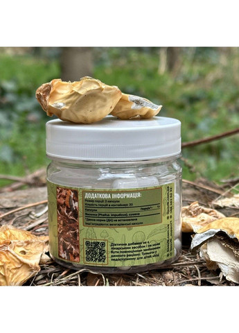 Весёлка обычная 60 капсул Лесовик Лісовик (364210668)