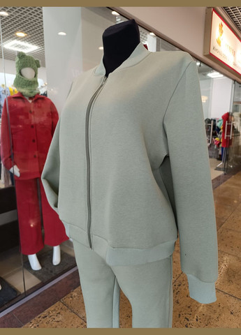 Жіночий спортивний костюм бомбер і джогери на манжеті 2 Льва (358068559)