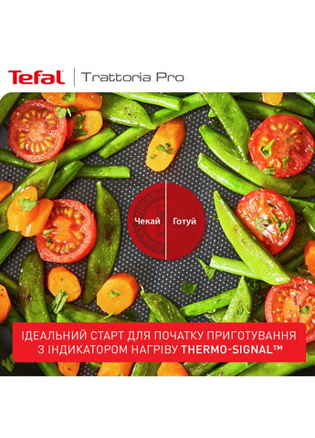 Сковорода Trattoria Pro 20 см (G6120244) Tefal (372458728)