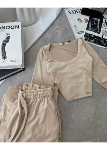 Жіночий велюровий костюм Україна (356683175)