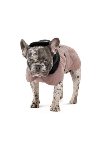 Попона Max для собак Pet Fashion (380986568)
