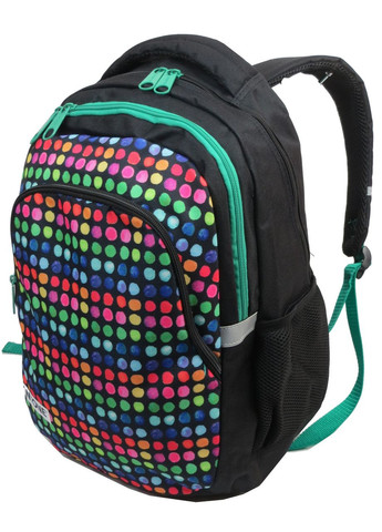 Молодежный рюкзак 00-699PAN 22L Разноцветный Paso (298285278)