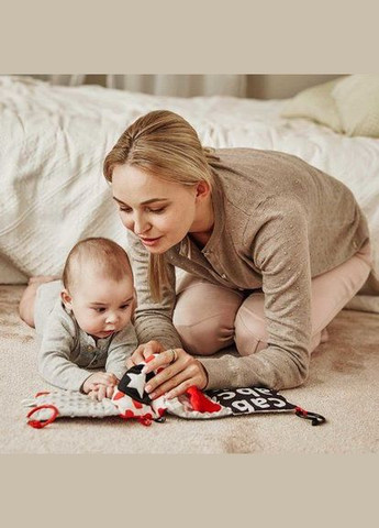 Игрушка-книжечка Sensory Toys Canpol Babies 68/081 (331789994)
