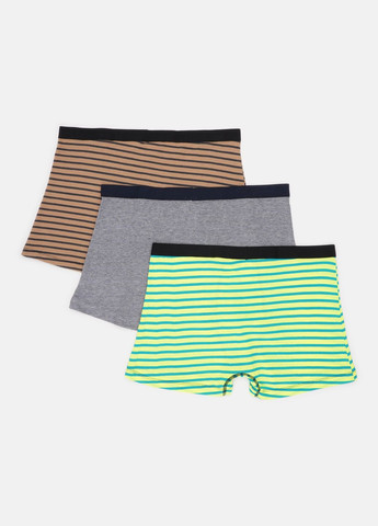 Труси (3шт) Basic Collection (295079707)