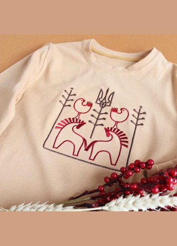 Дитячий реглан з етнічною вишивкою Воля хлопчику Ladan (301026286)