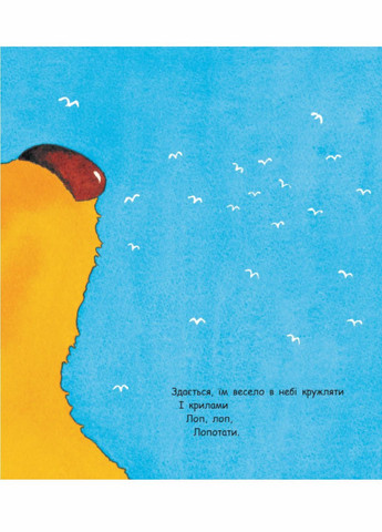 Книга Медведь, умеющего летать. Автор Майкл Розен. Ч901657У 9786170952998 РАНОК (290663933)